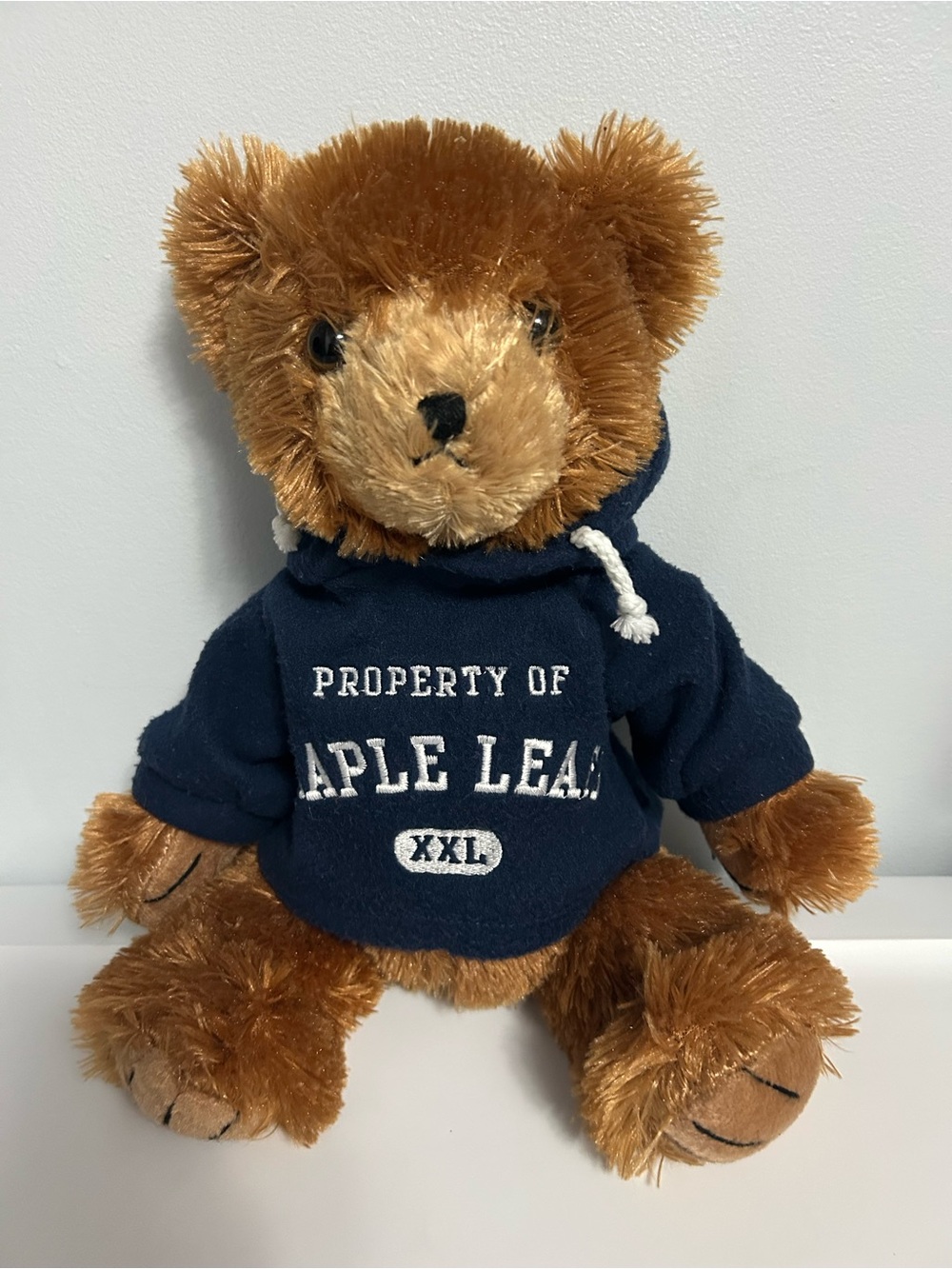Maple Leafs Brown Bear with Navy Hoodie
